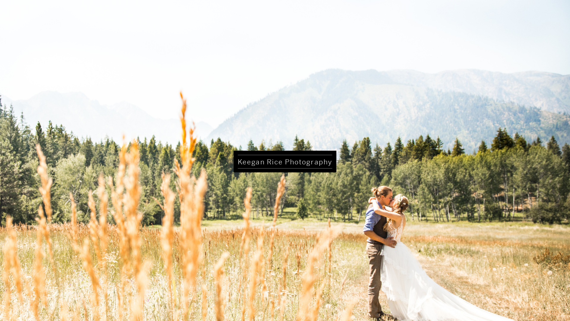 online photography portfolio