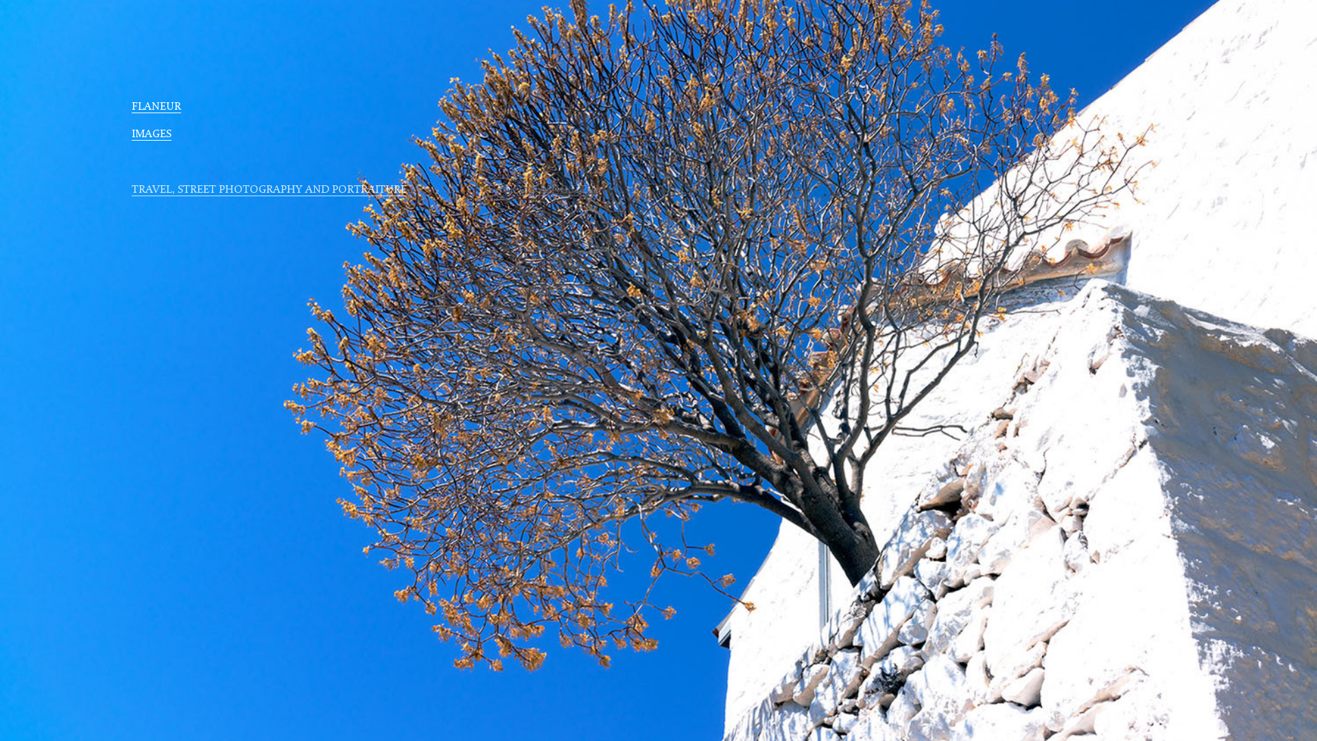 Rozette Rago online photography portfolio