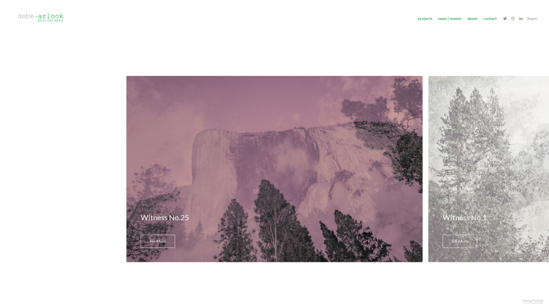 Rozette Rago online photography portfolio