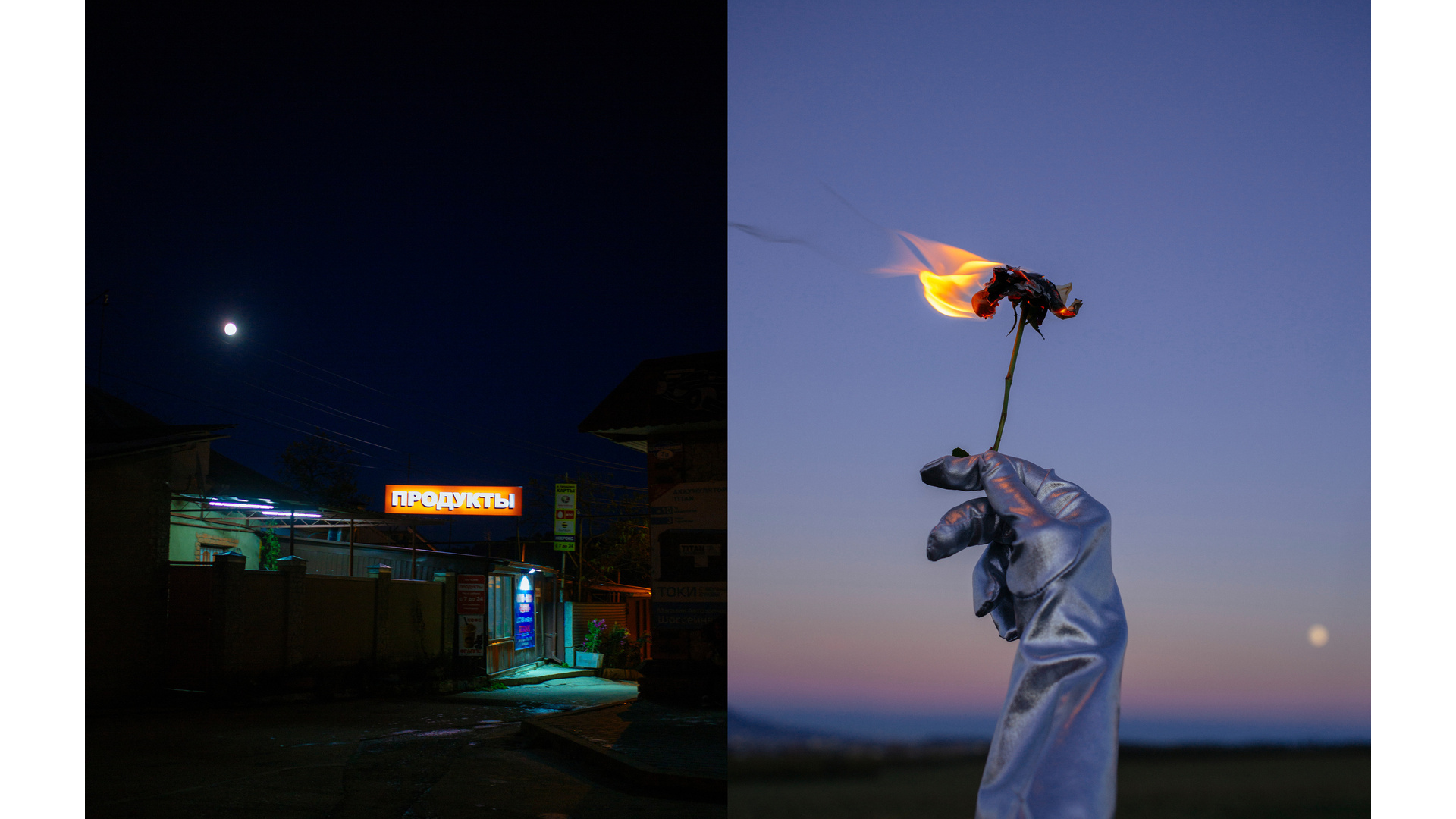 Rozette Rago online photography portfolio