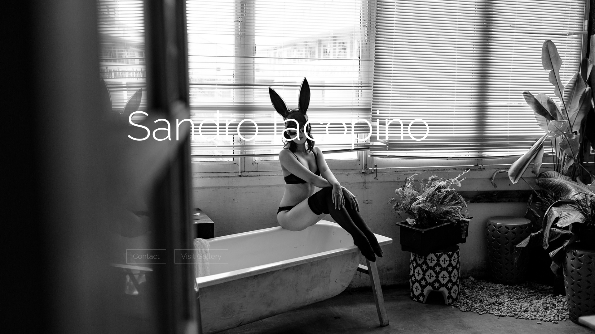 online photography portfolio