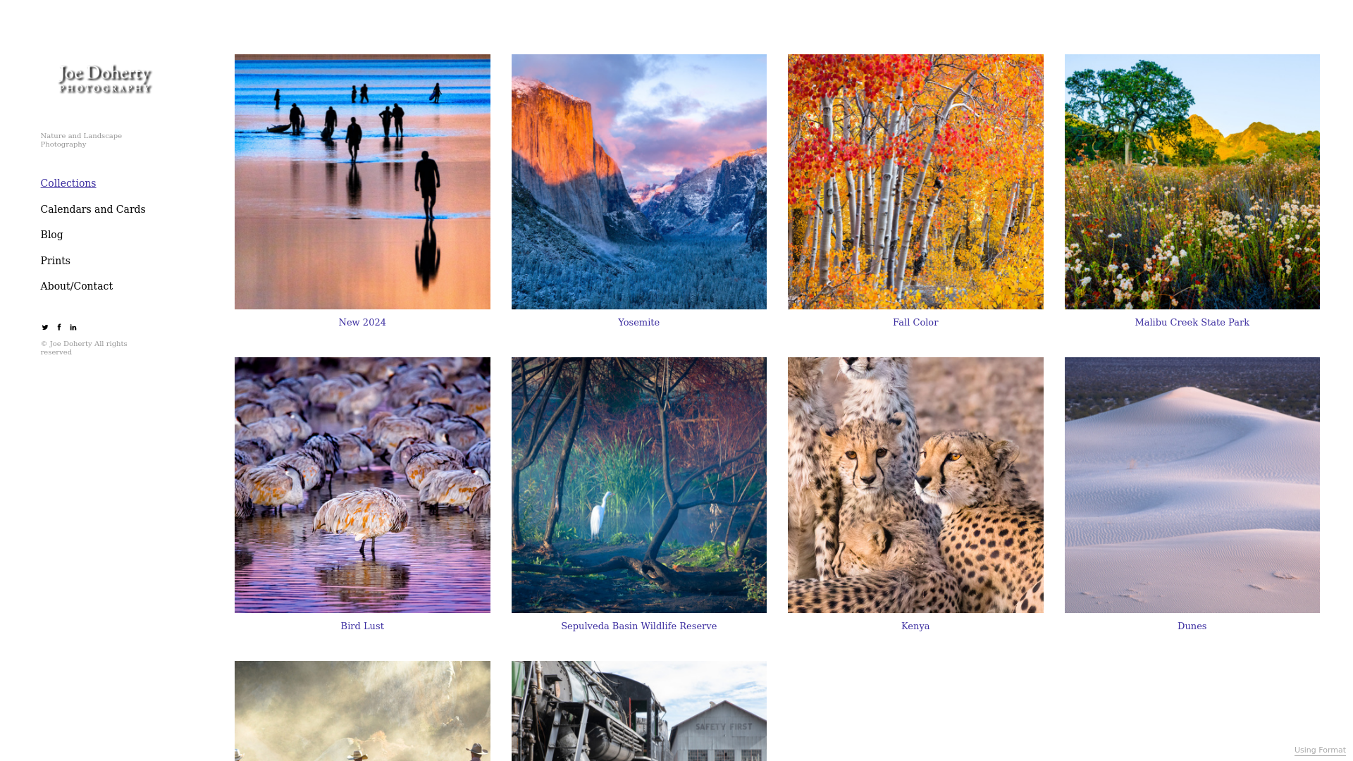 Rozette Rago online photography portfolio