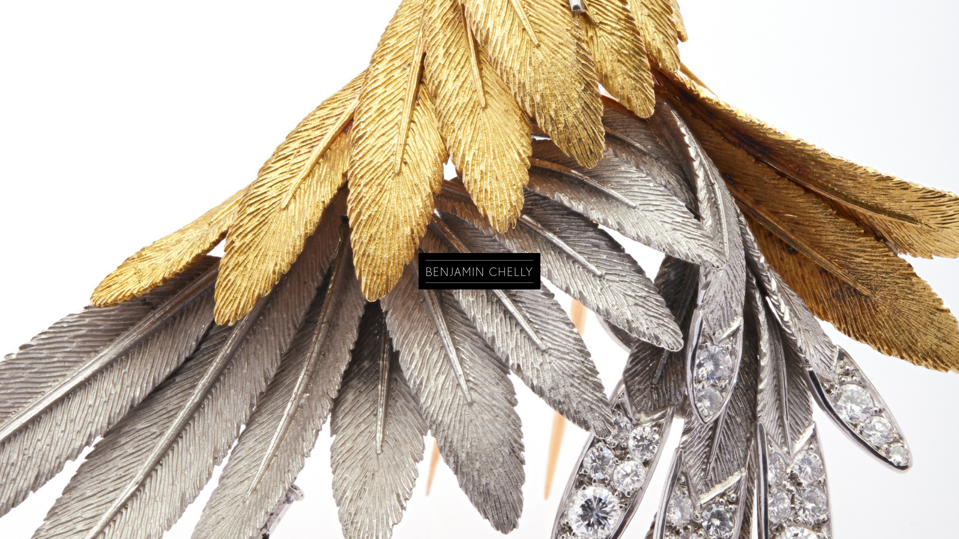 Rozette Rago online photography portfolio
