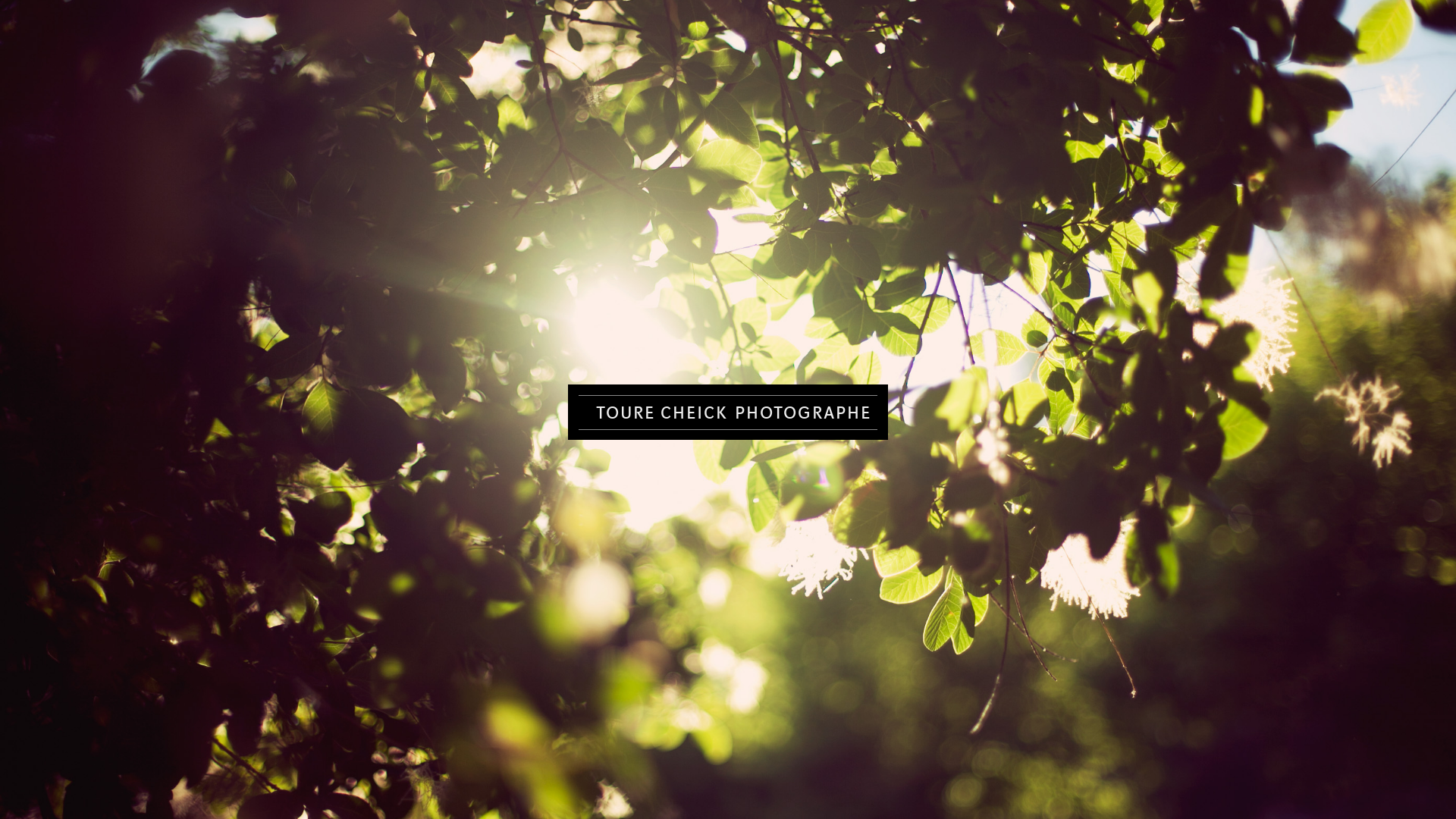 online photography portfolio