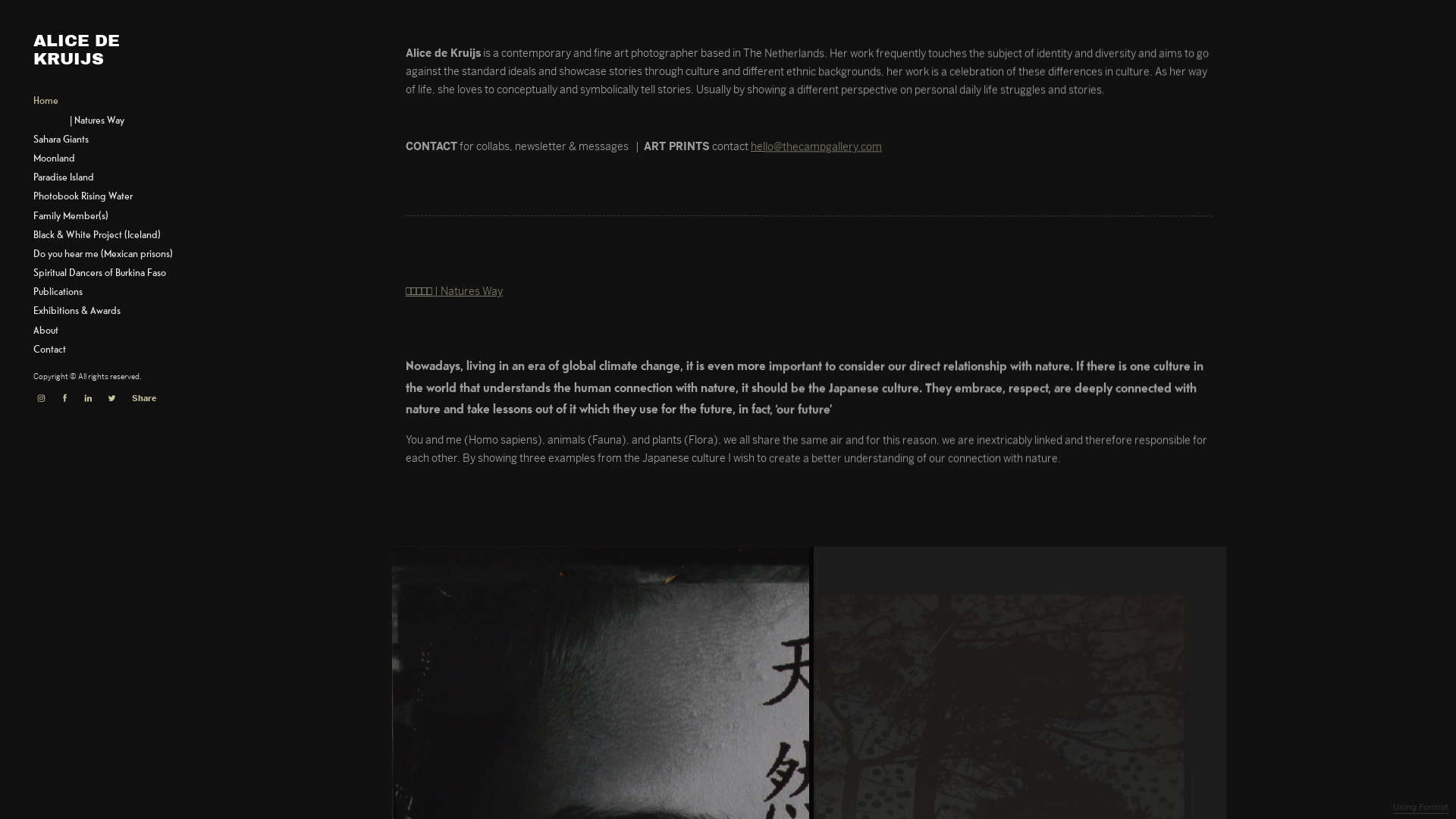 Rozette Rago online photography portfolio