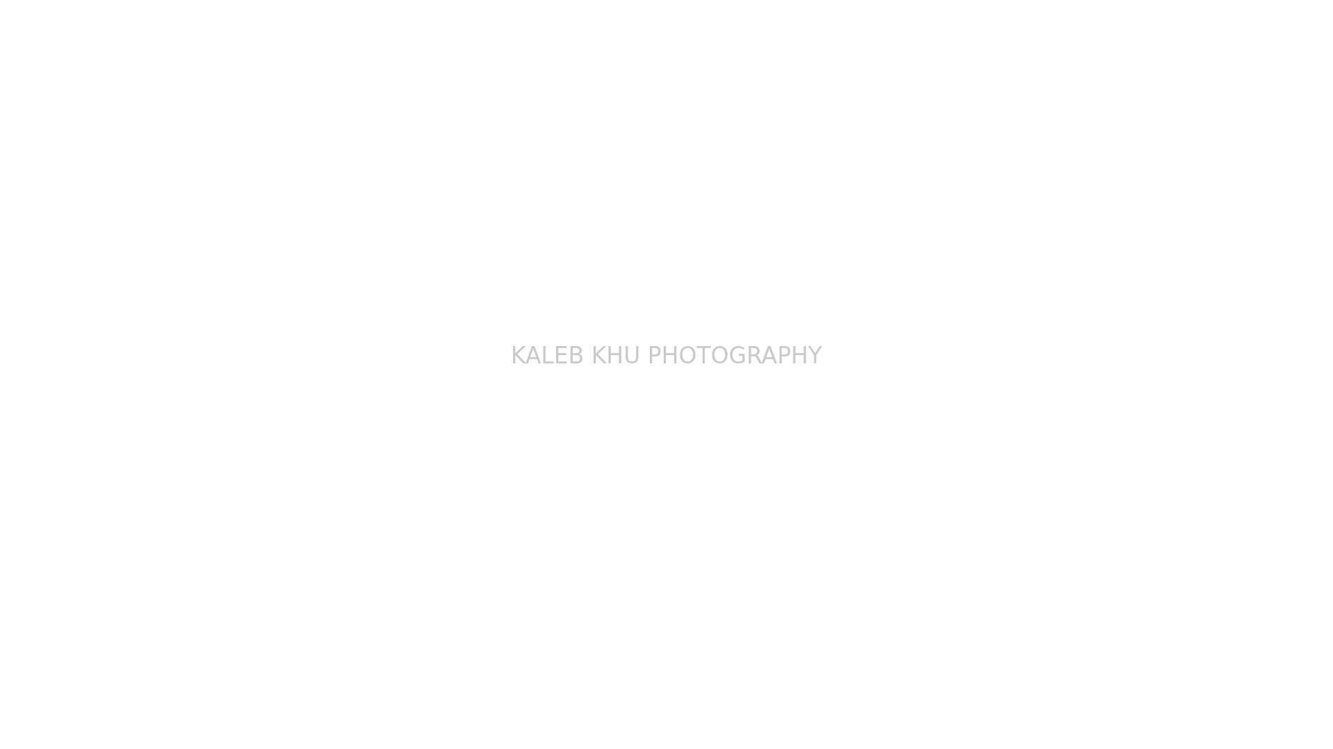online photography portfolio