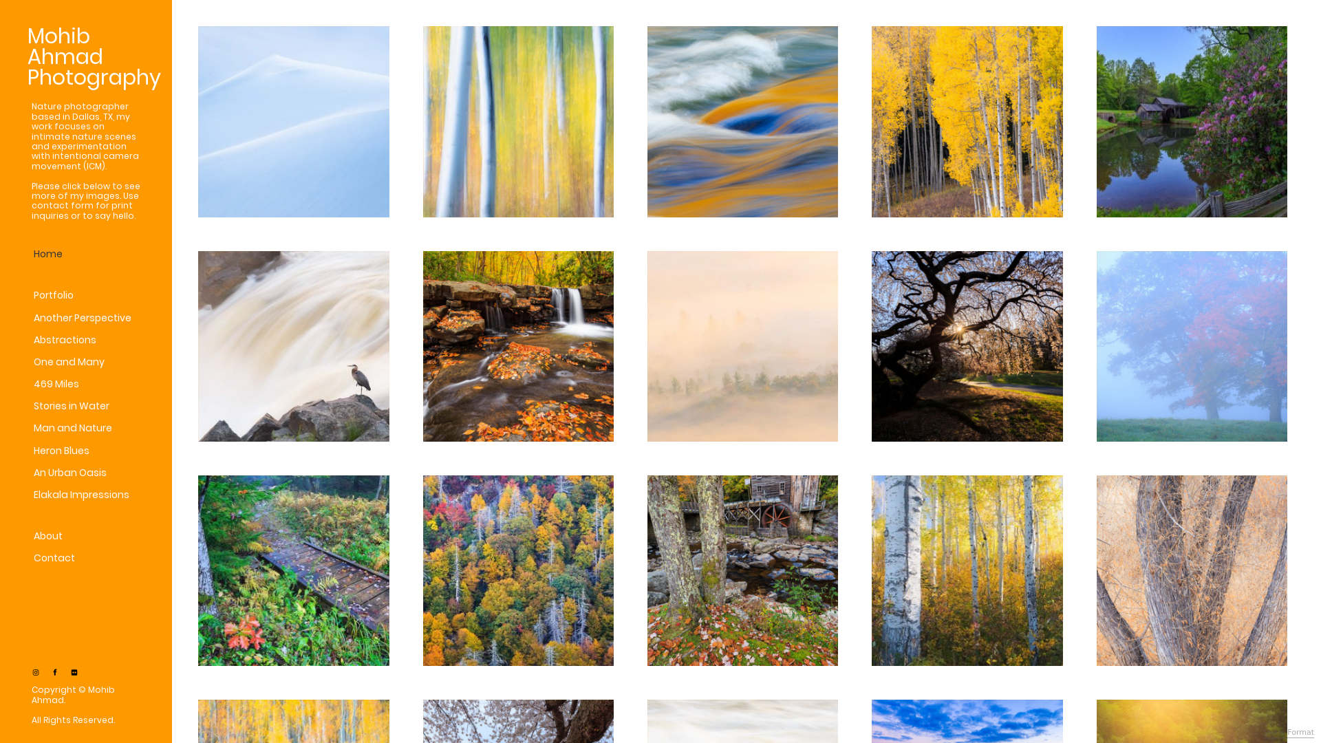 Rozette Rago online photography portfolio