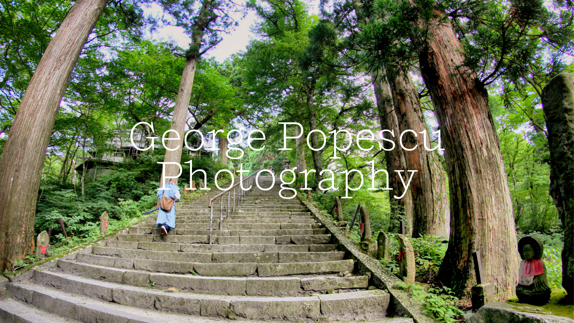 Rozette Rago online photography portfolio