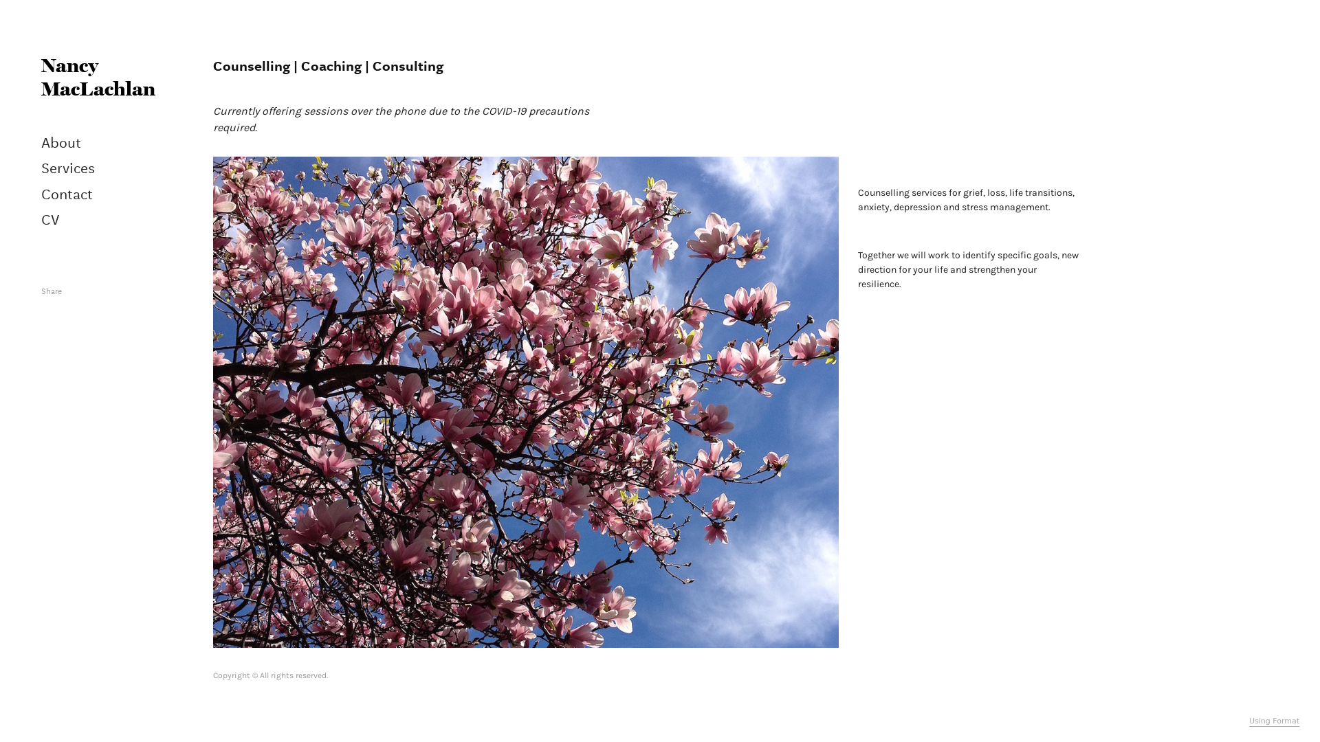 online photography portfolio
