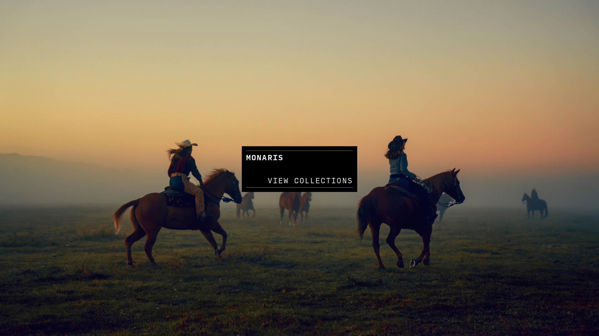 Rozette Rago online photography portfolio