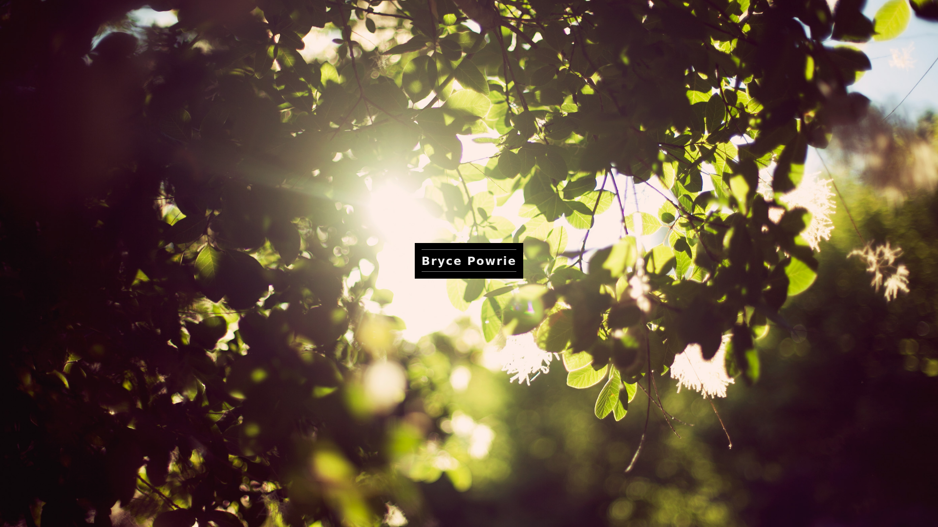 online photography portfolio