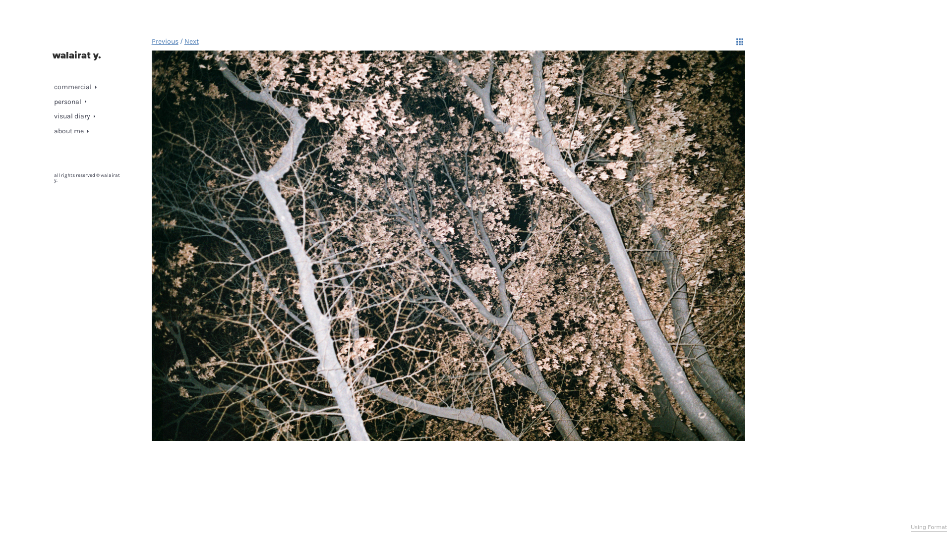 Rozette Rago online photography portfolio