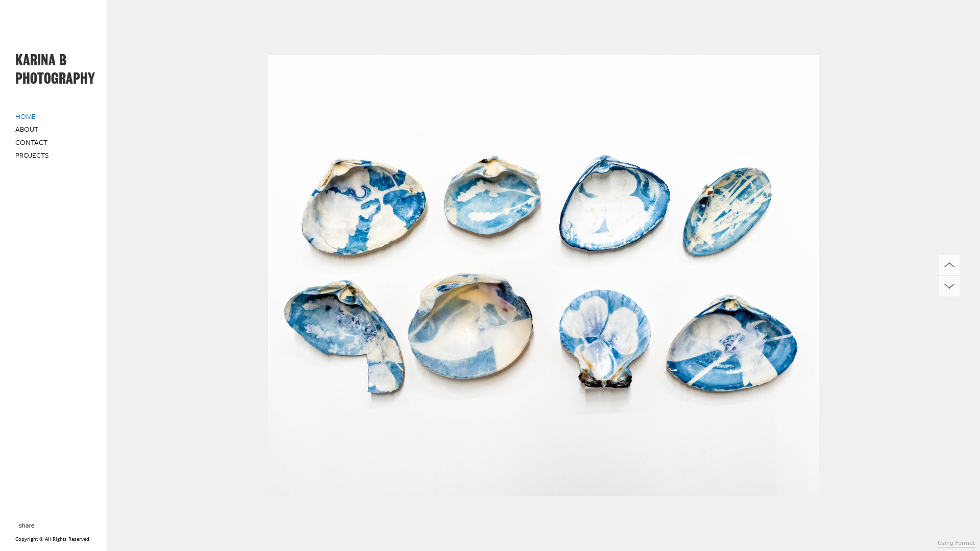 Rozette Rago online photography portfolio