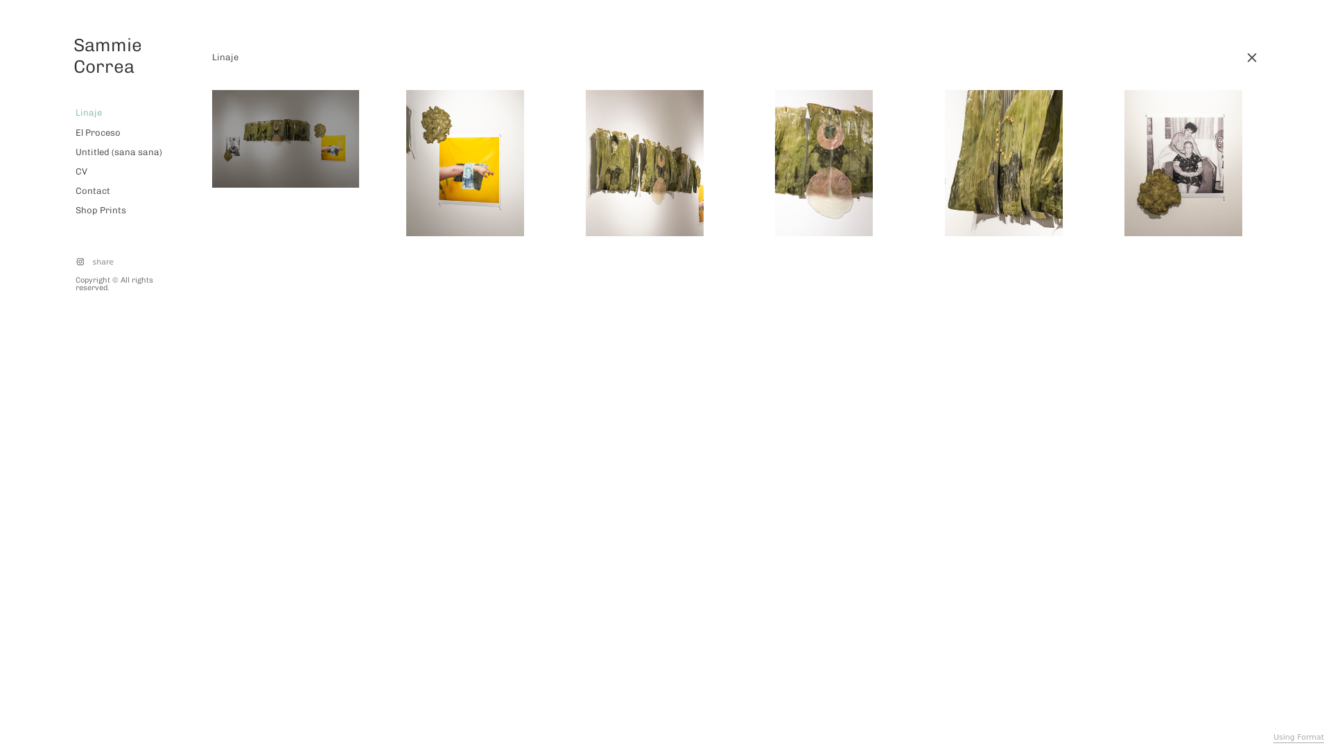 Format portfolio