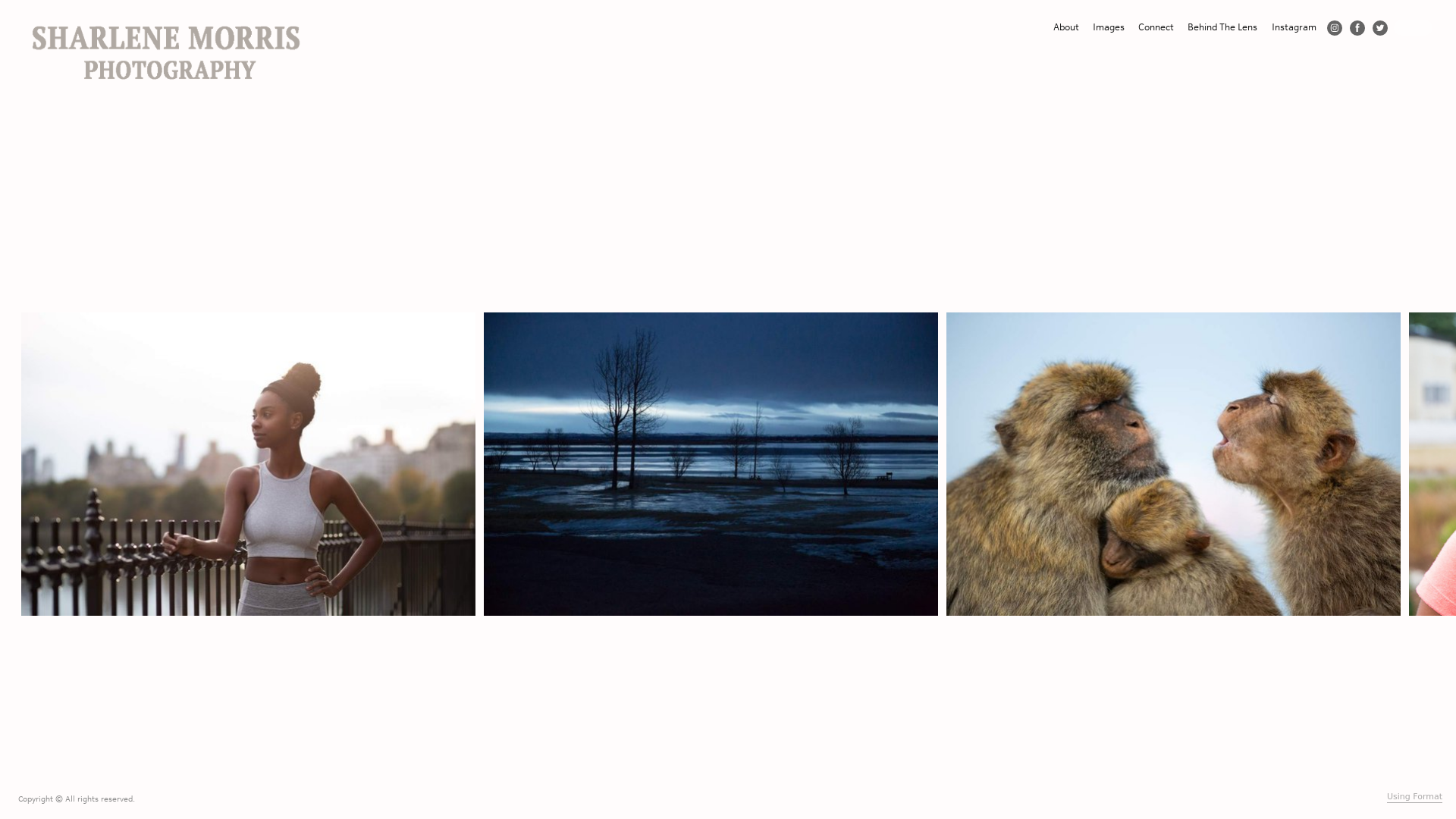 Rozette Rago online photography portfolio