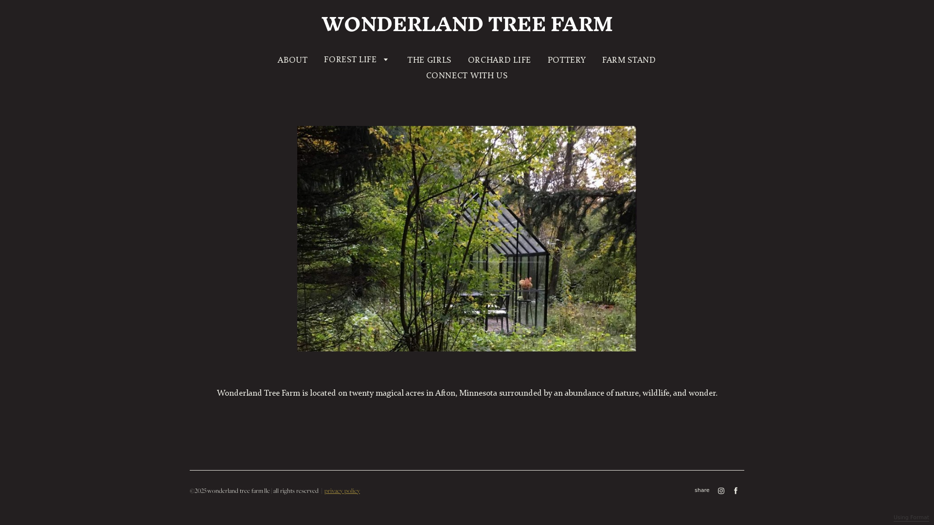 Rozette Rago online photography portfolio