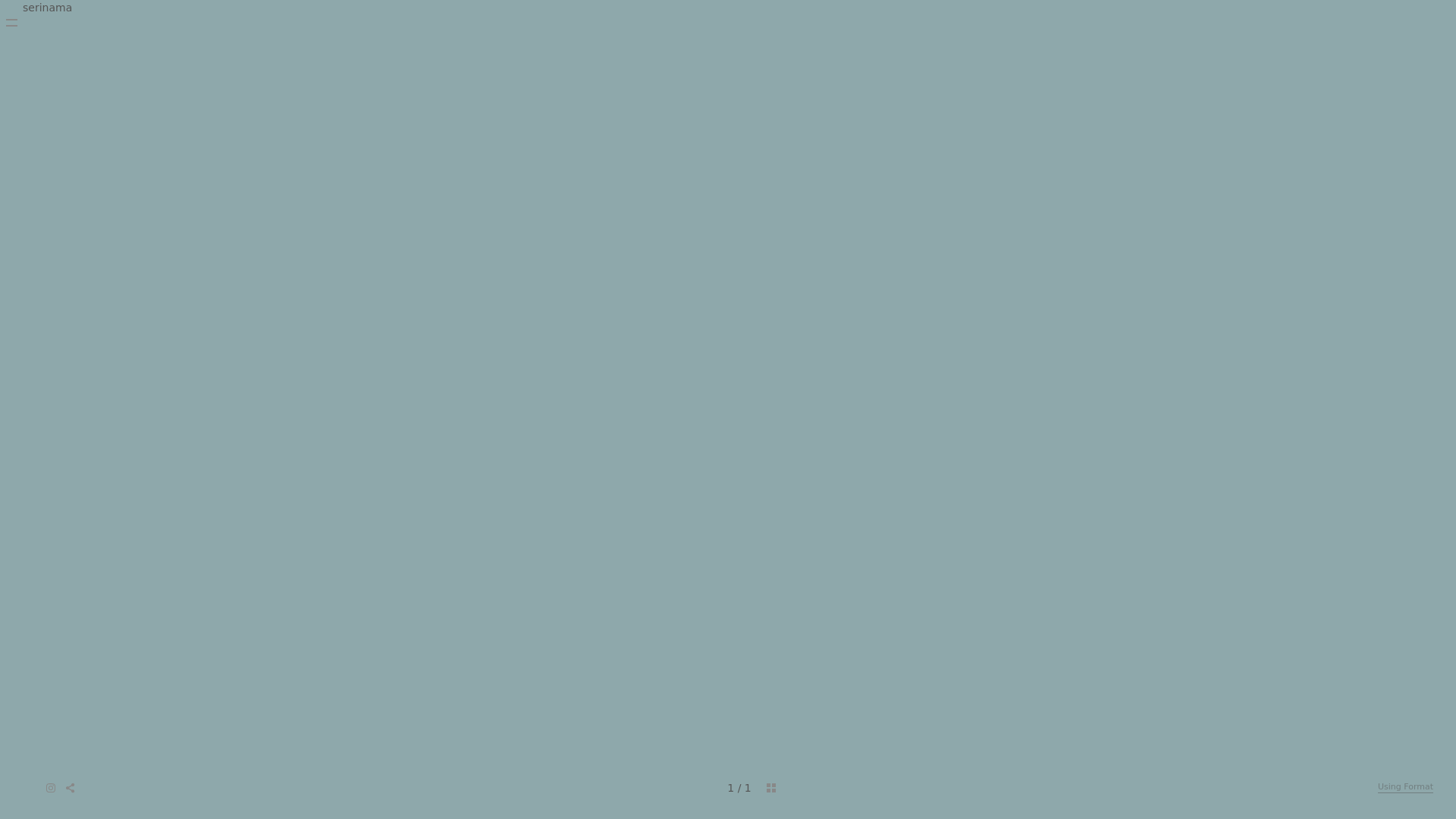 Format portfolio