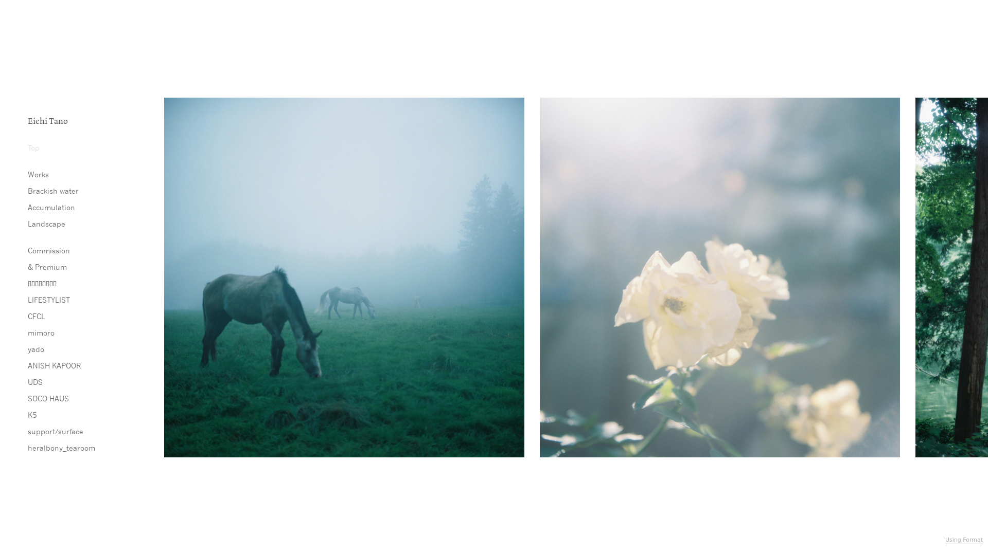 Rozette Rago online photography portfolio