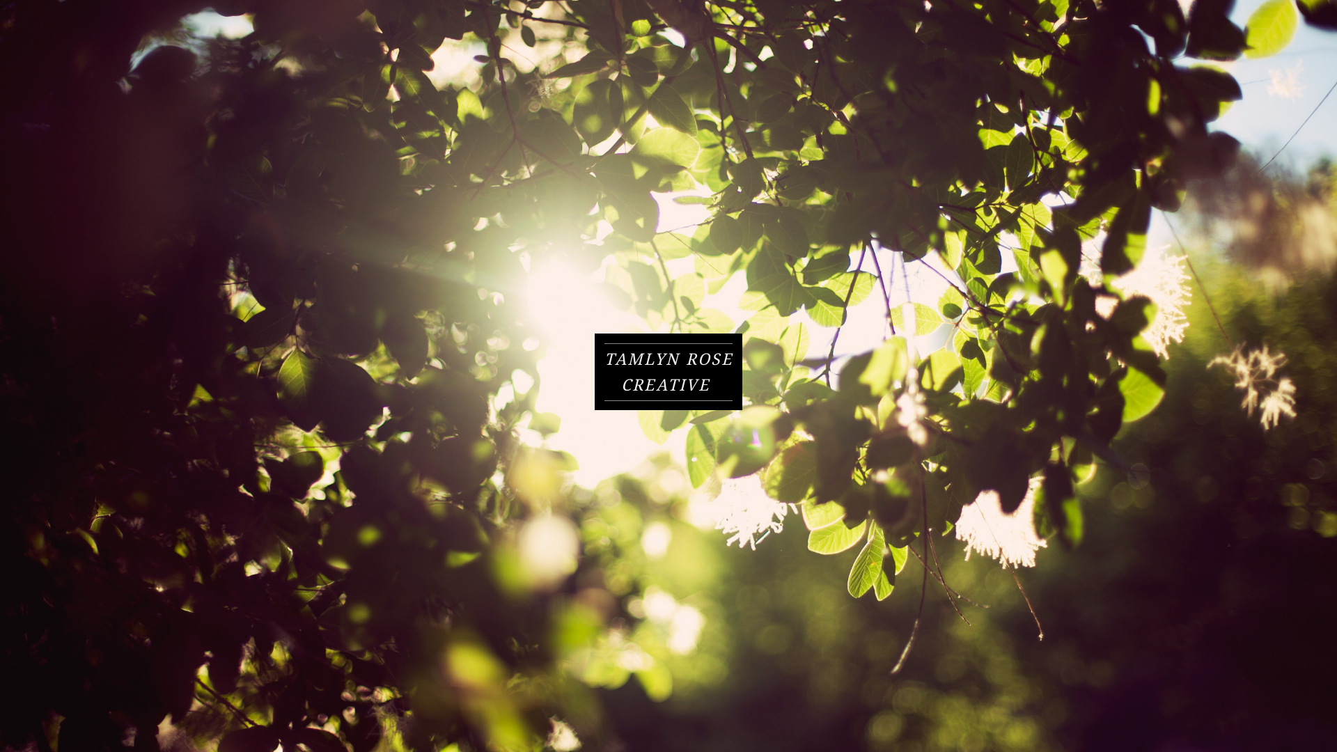 online photography portfolio