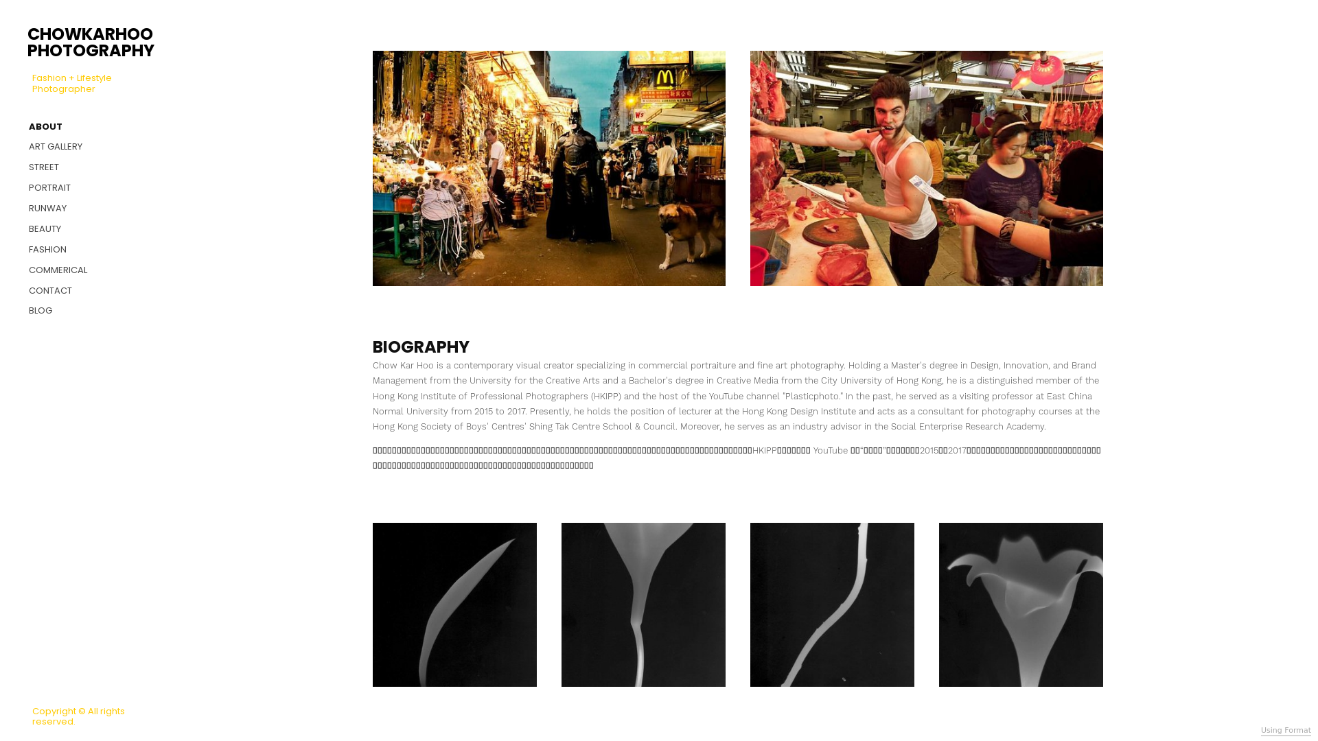 Rozette Rago online photography portfolio