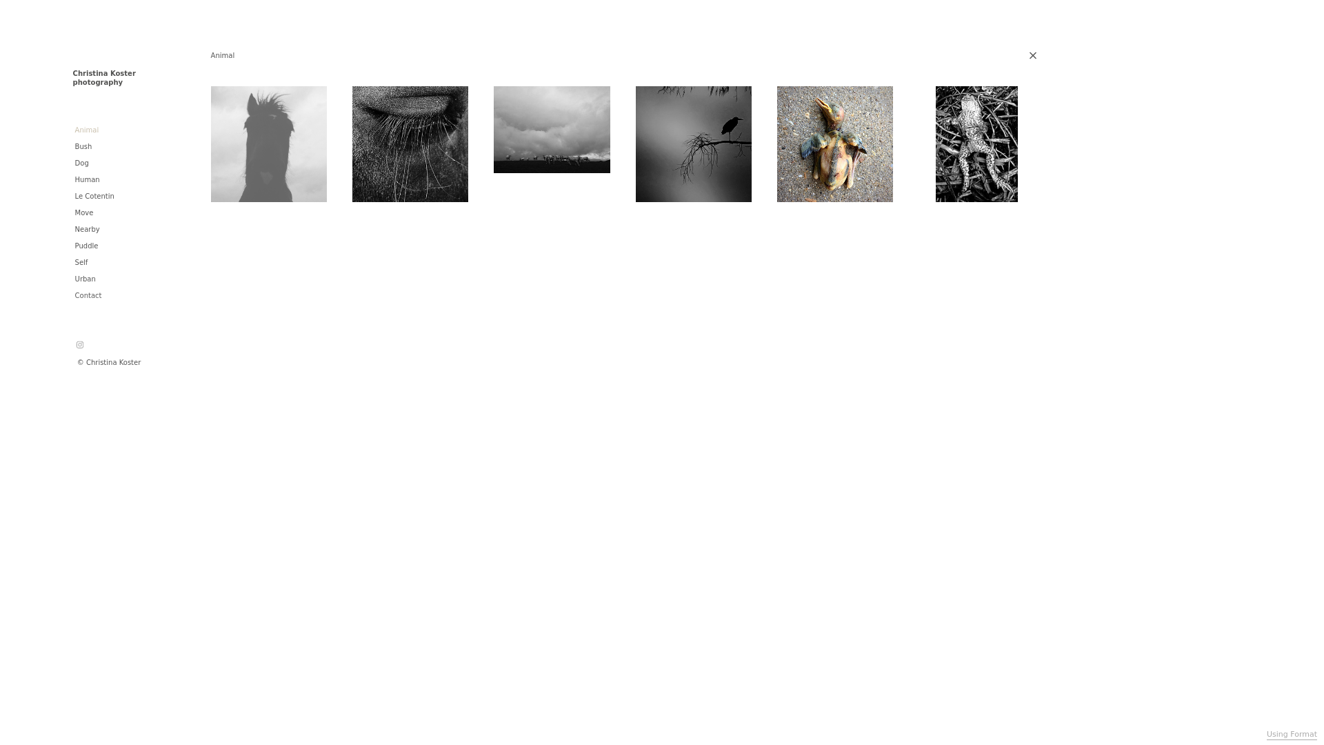 Rozette Rago online photography portfolio