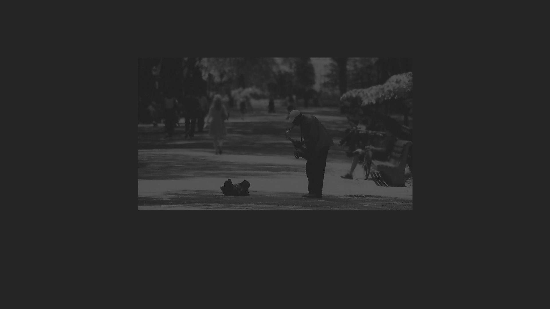 online photography portfolio