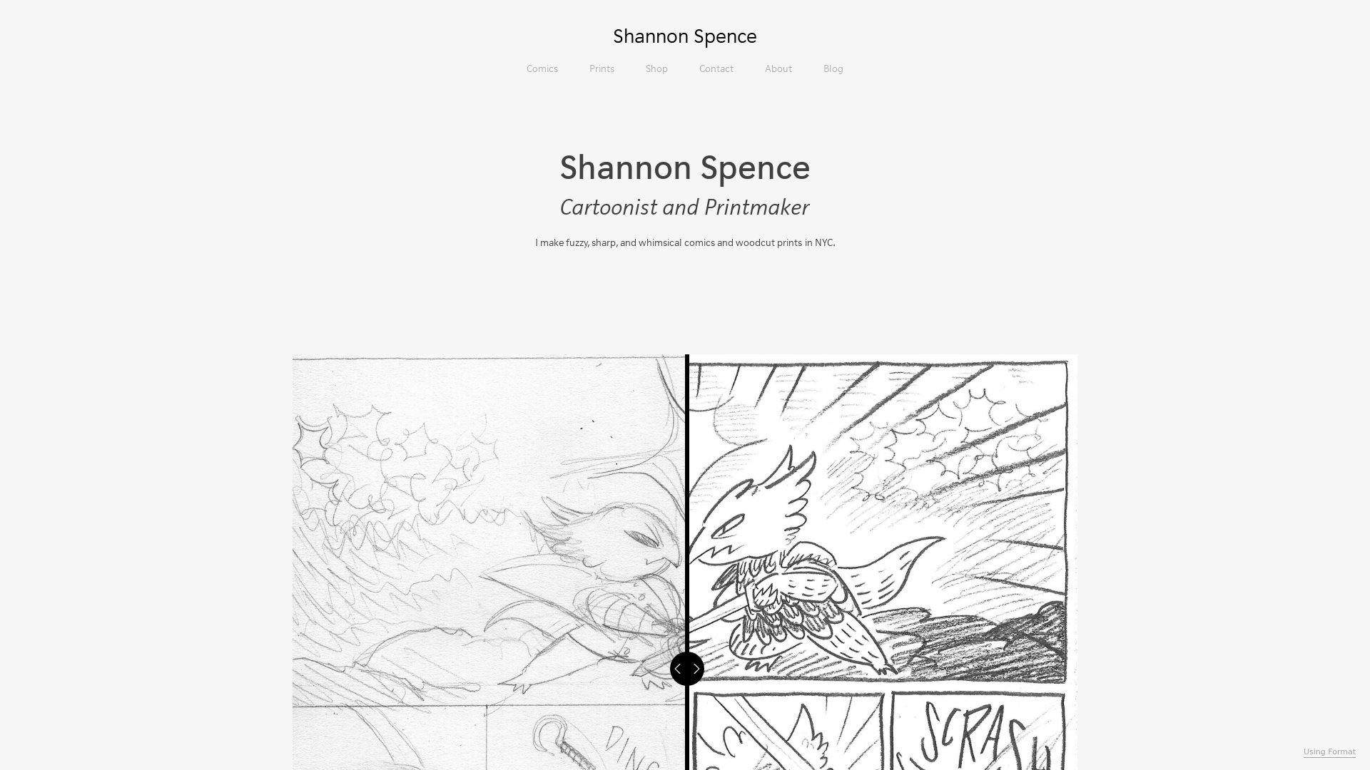 Format portfolio