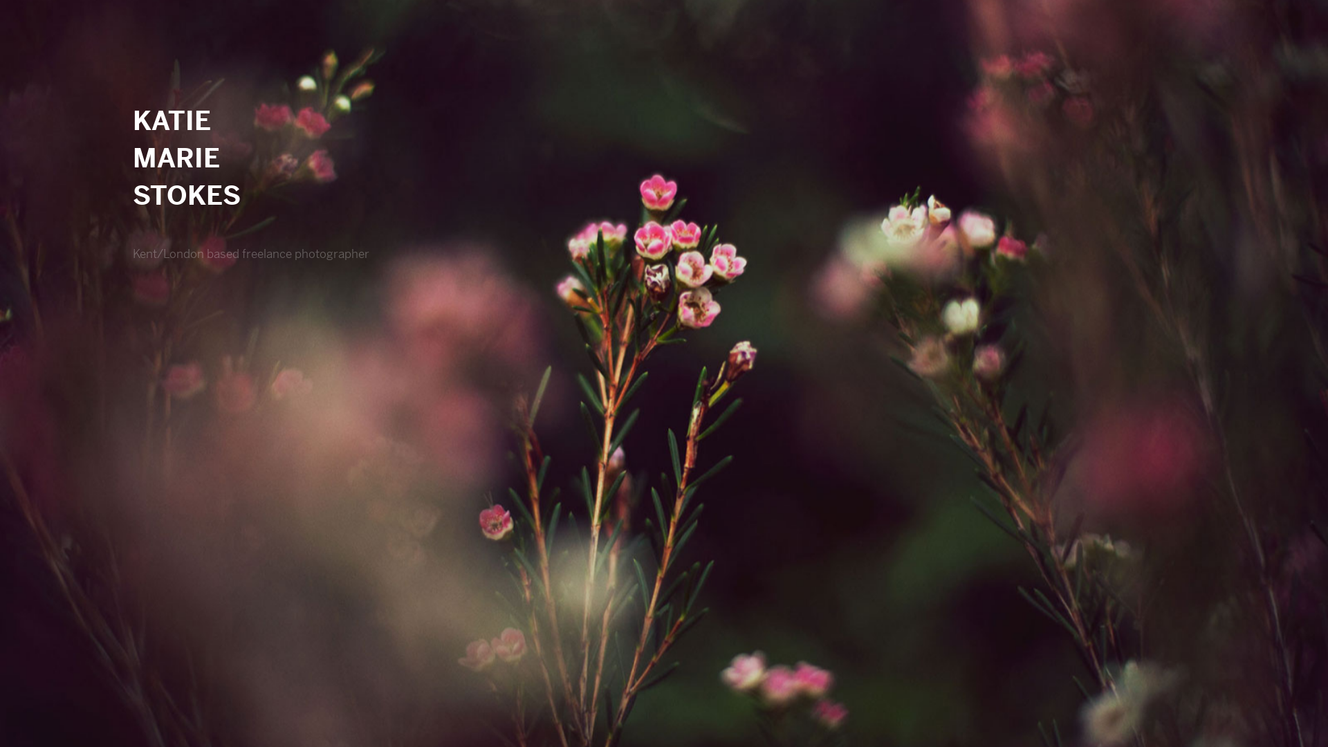 online photography portfolio