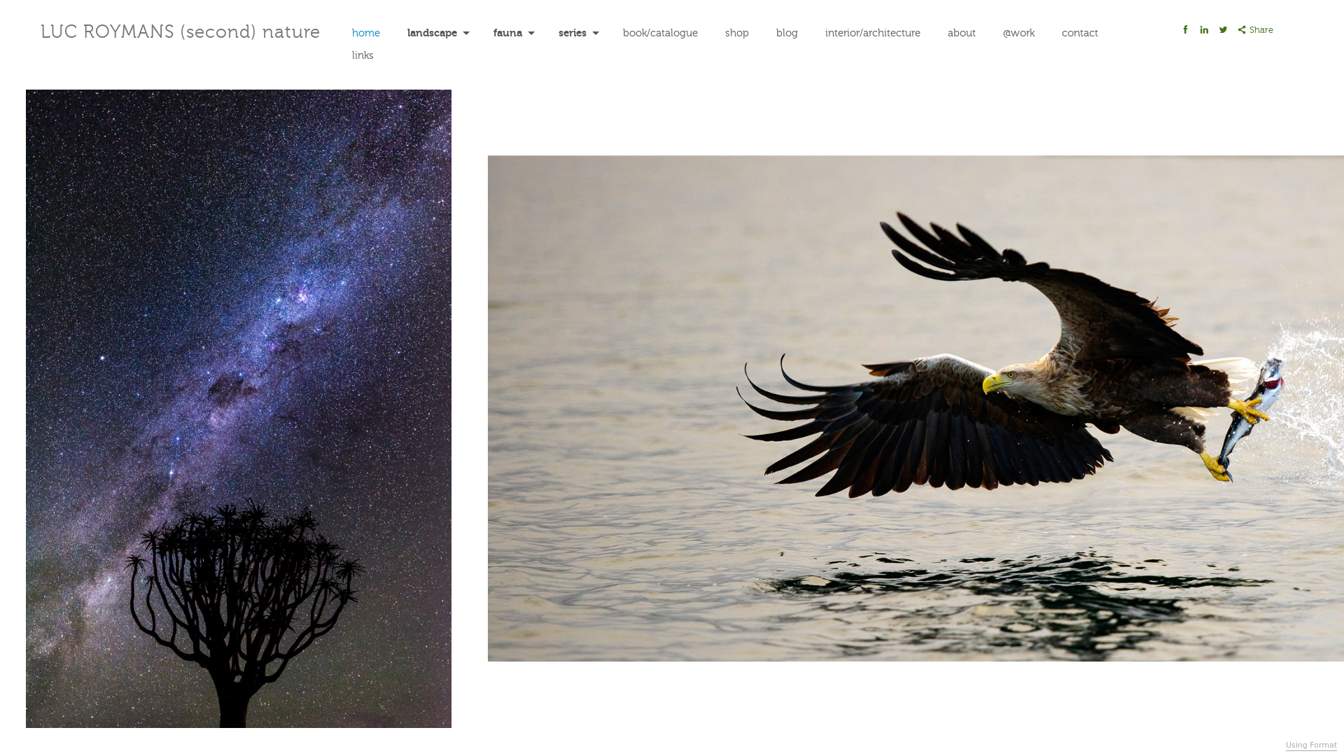 Rozette Rago online photography portfolio