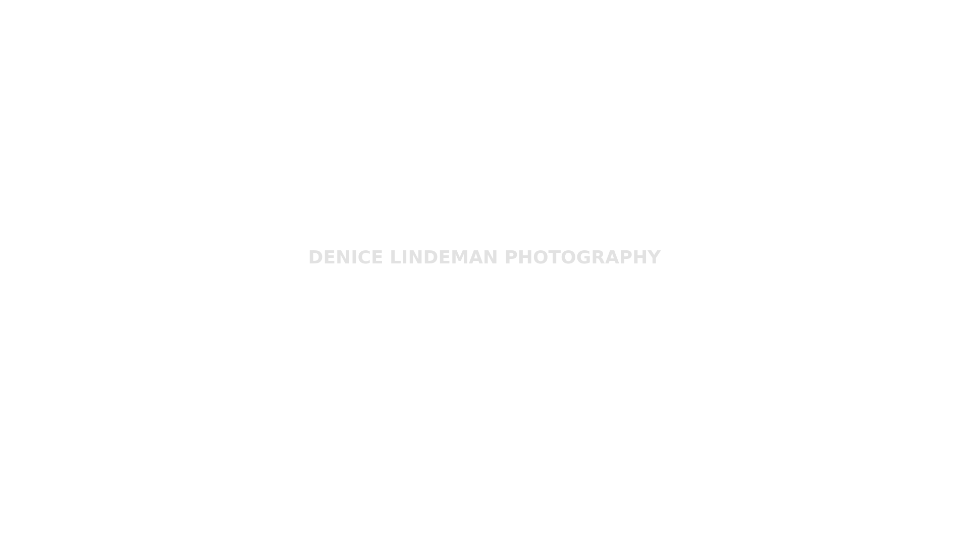Rozette Rago online photography portfolio