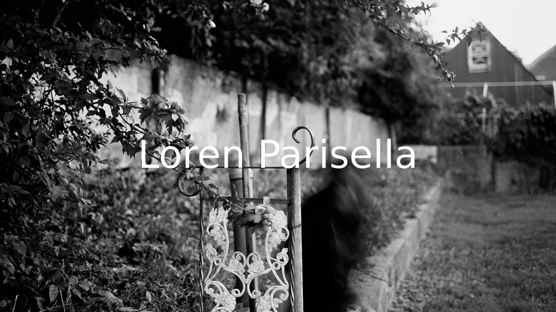 Rozette Rago online photography portfolio