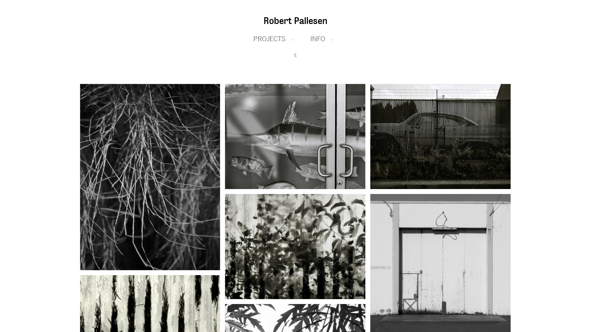 Rozette Rago online photography portfolio