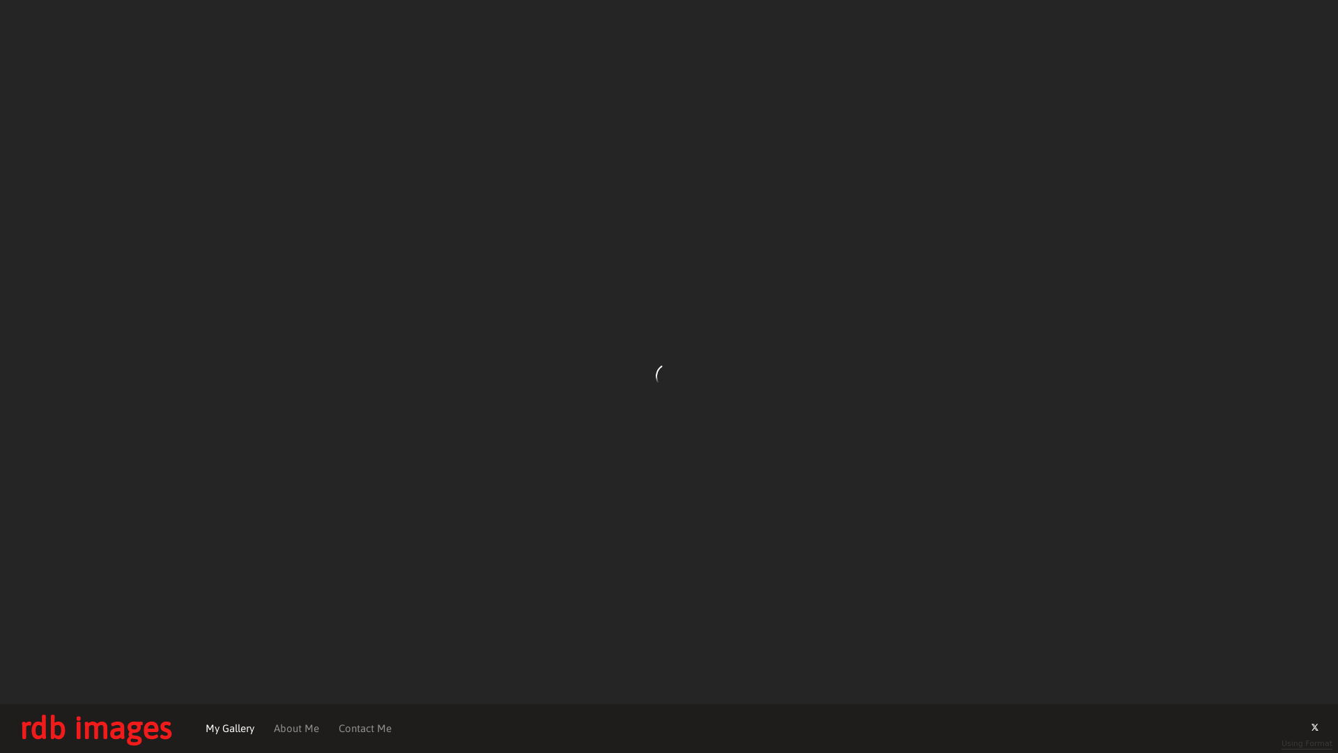 online photography portfolio