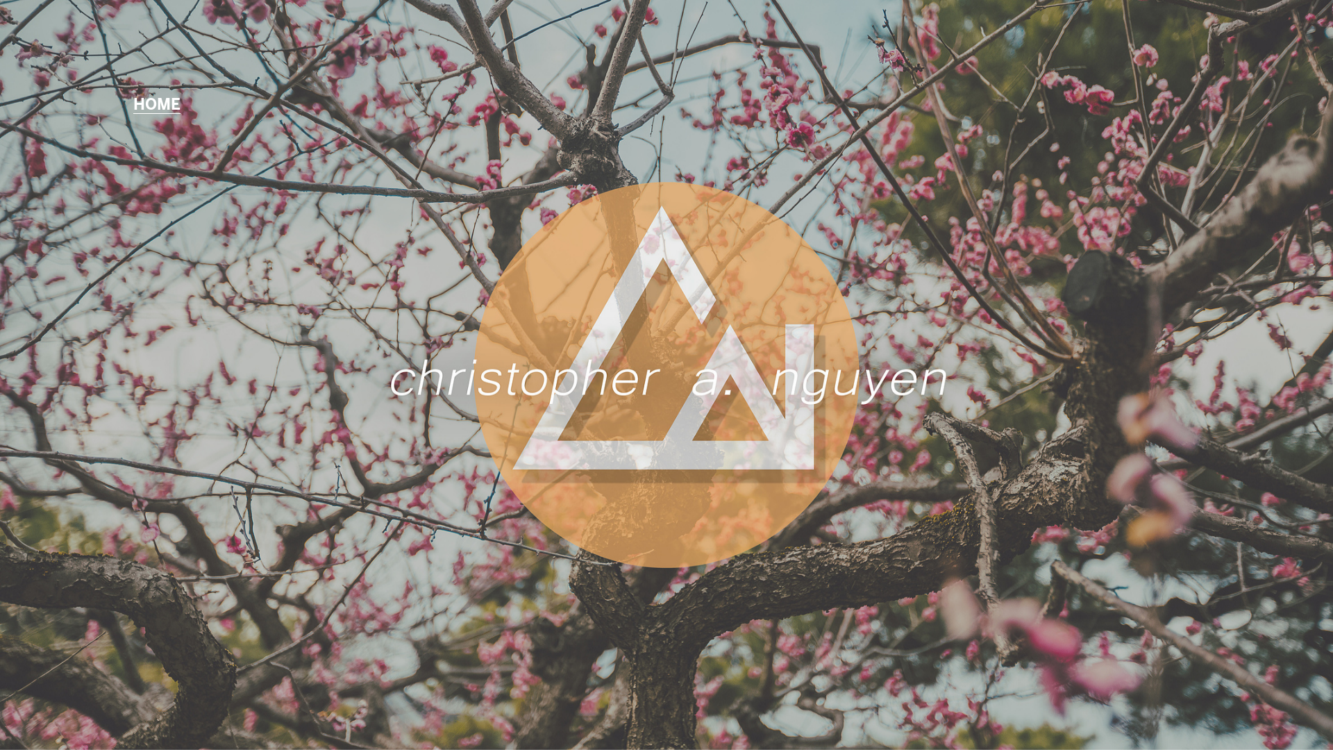online photography portfolio