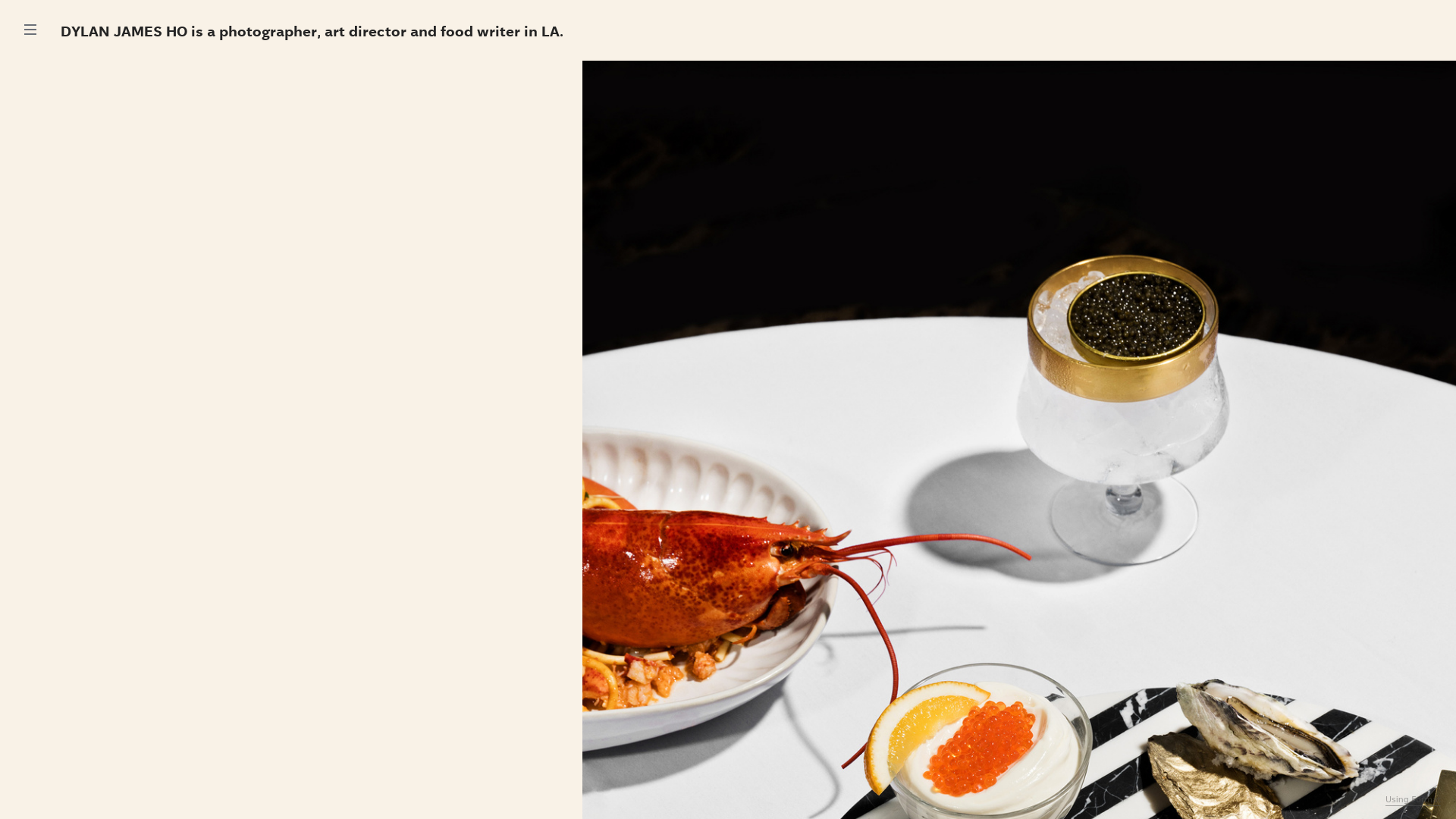 Rozette Rago online photography portfolio
