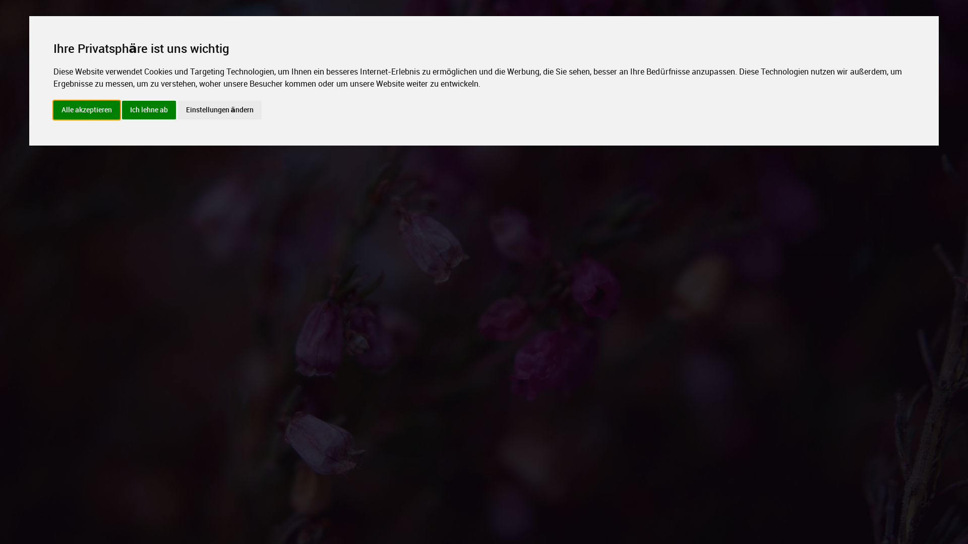 online photography portfolio