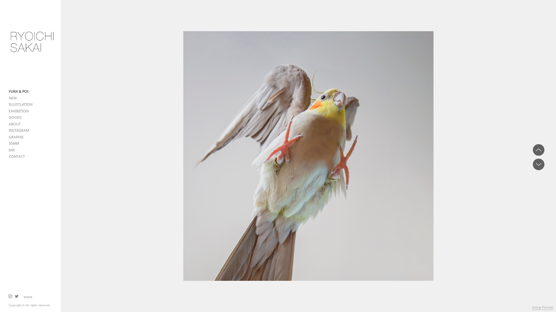 Rozette Rago online photography portfolio