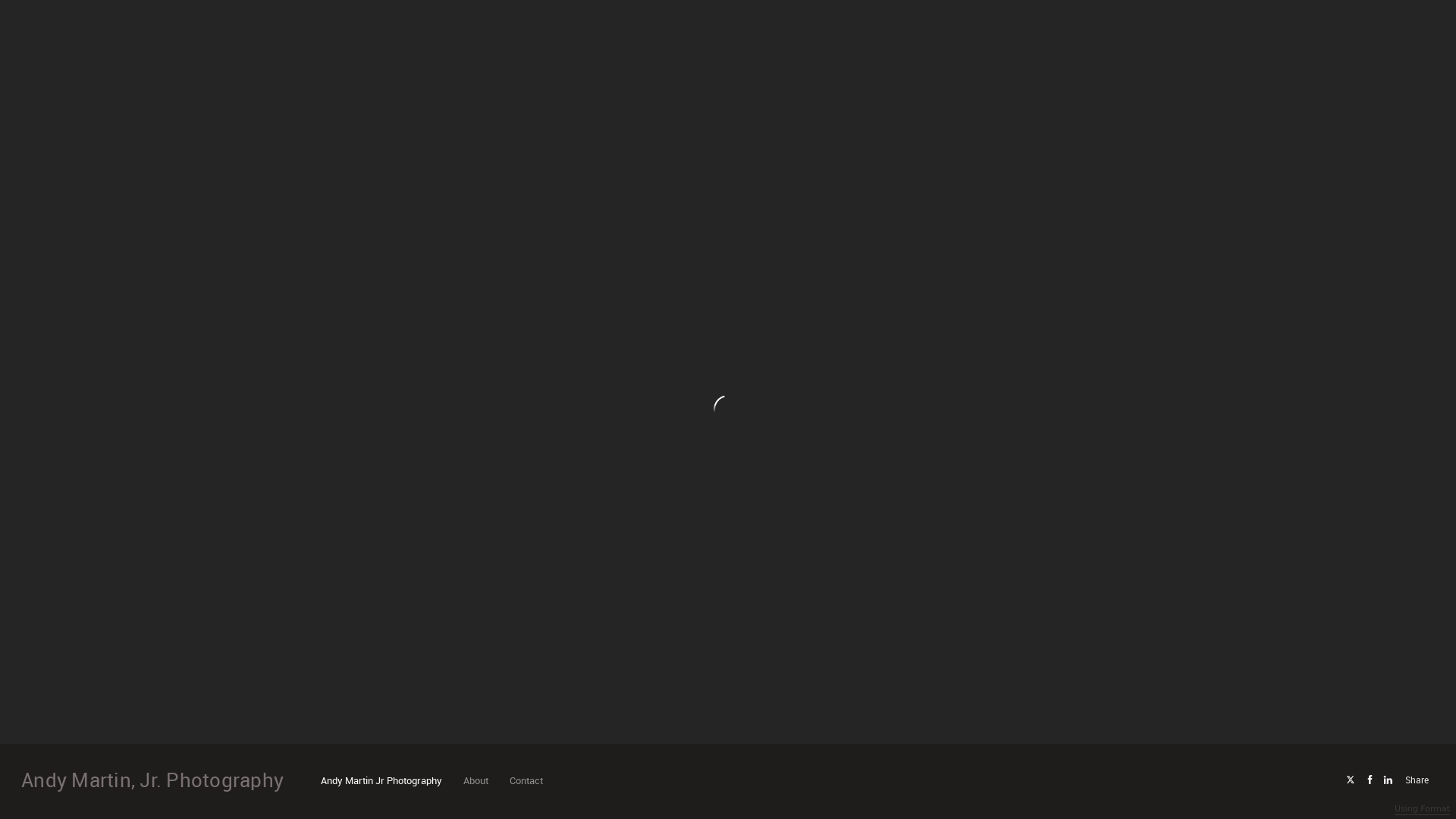 online photography portfolio