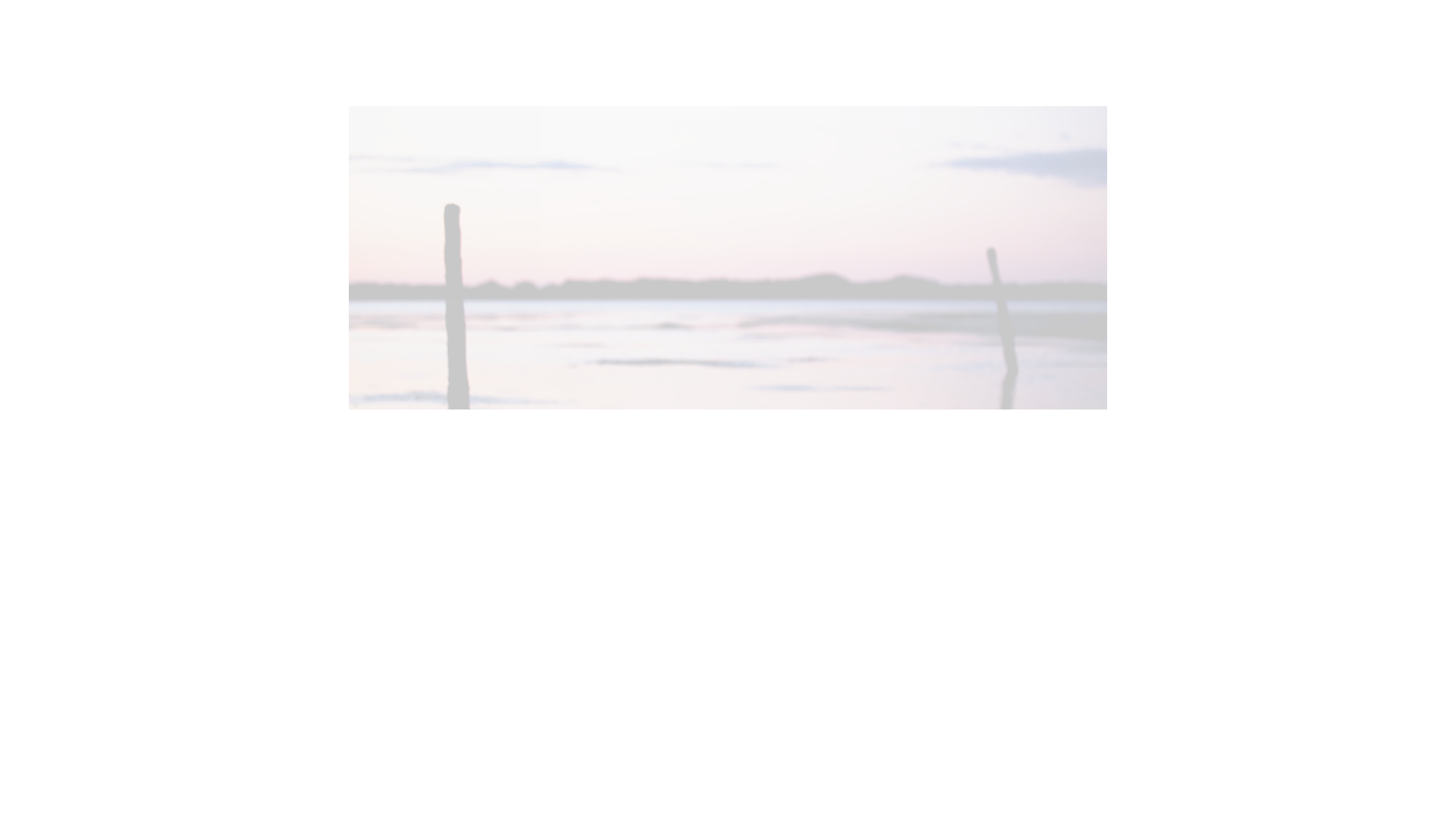 online photography portfolio