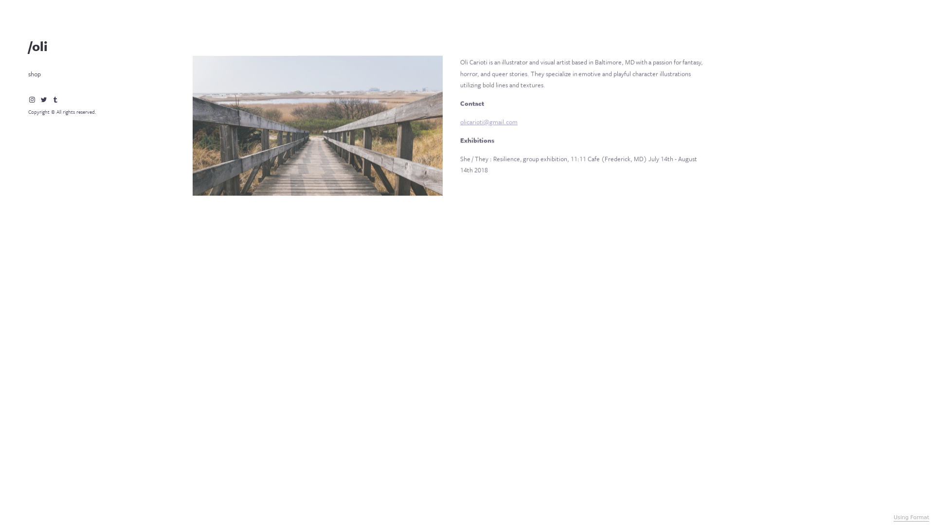 Format portfolio