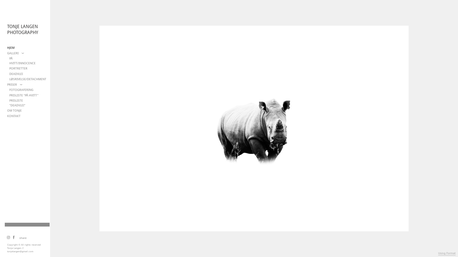 Rozette Rago online photography portfolio
